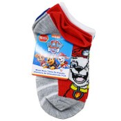 Wholesale - 5pk PAW PATROL PLAYIN AROUND NS SOCKS SIZE 4-6, UPC: 193159211523
